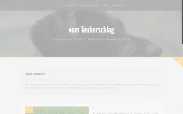 www.djt-teuberschlag.de