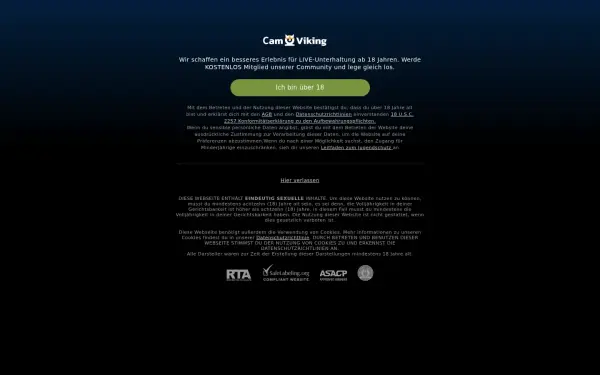 de.camviking.com