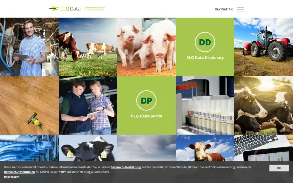 www.dlqdata.de