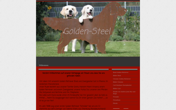 golden-steel.jimdofree.com