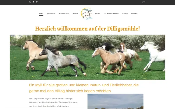 www.dilligsmuehle.de