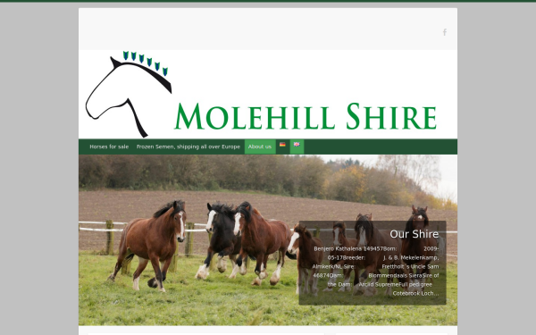 molehill-shire.com