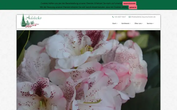 addicks-baumschulen.de
