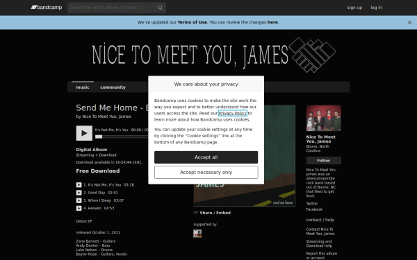 nicetomeetyoujames.bandcamp.com