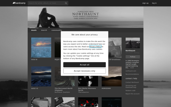 northaunt.bandcamp.com