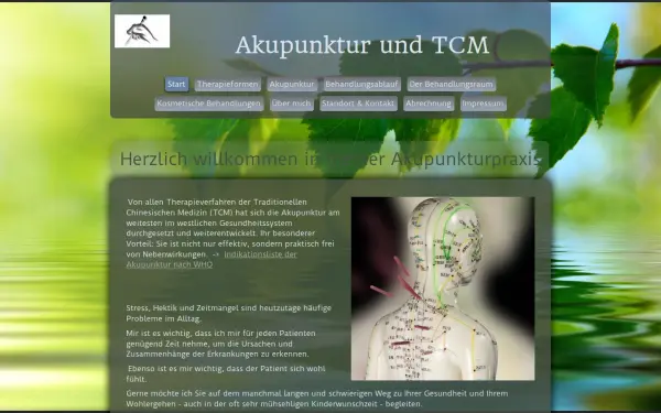 www.heilkunde-akupunktur.de