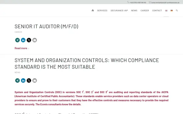 audit-professionals.de