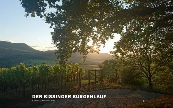 derburgenlauf.de