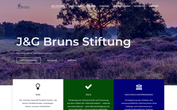 www.bruns-stiftung.de