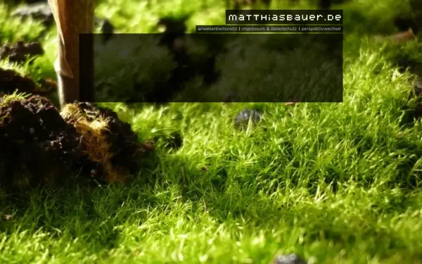 matthiasbauer.de