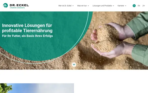 www.dr-eckel.de