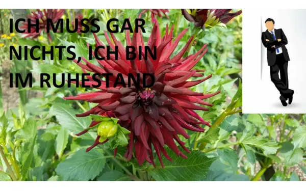 daschke-edv.de
