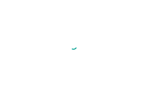 rzzki.de