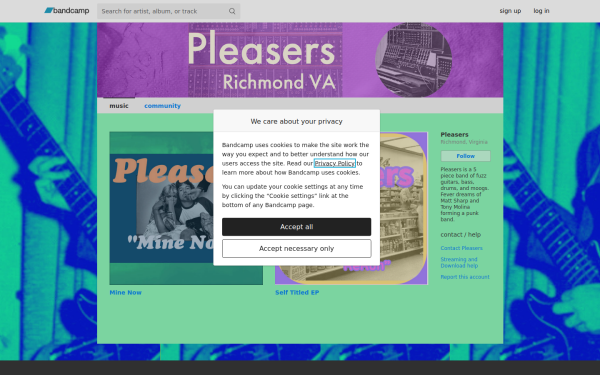 pleasers.bandcamp.com