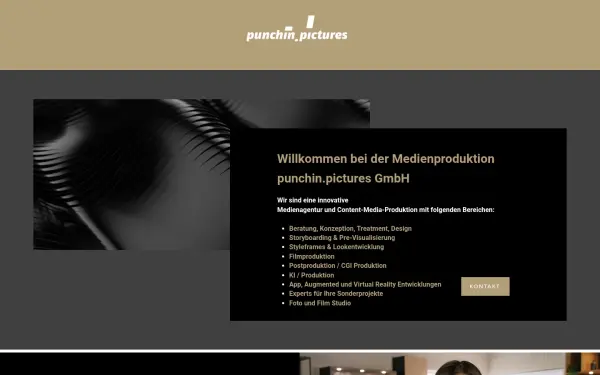 www.punchinpictures.de