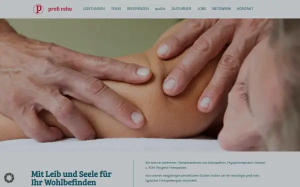 profi-reha.de