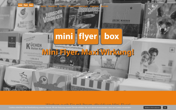 www.mini-flyer-box.de