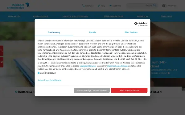 www.thueringer-energienetze.com