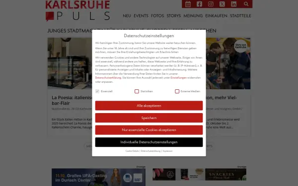 karlsruhepuls.de