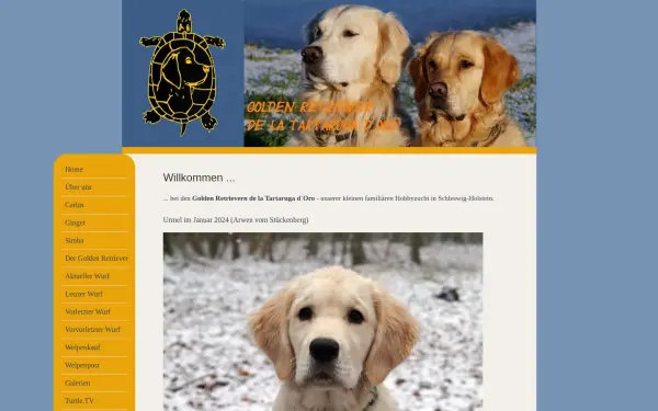 golden-tartaruga.de