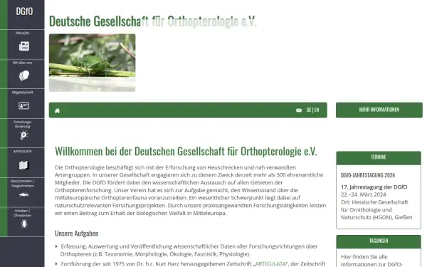 dgfo-articulata.de