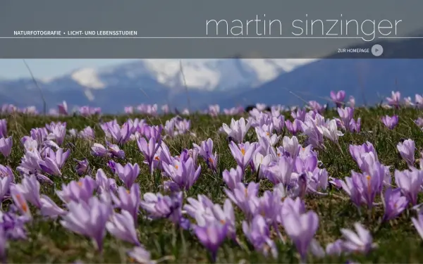 www.sinzinger-martin.de