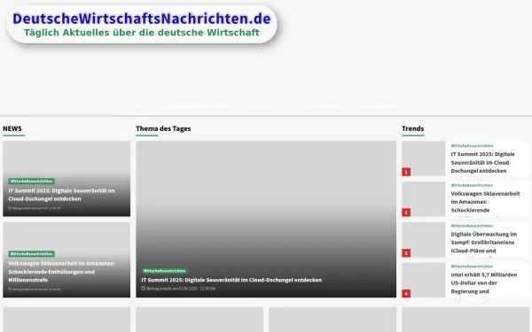 deutschewirtschaftsnachrichten.de