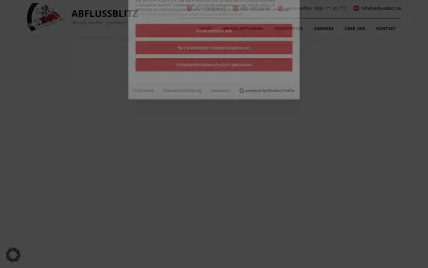 www.abflussblitz.de