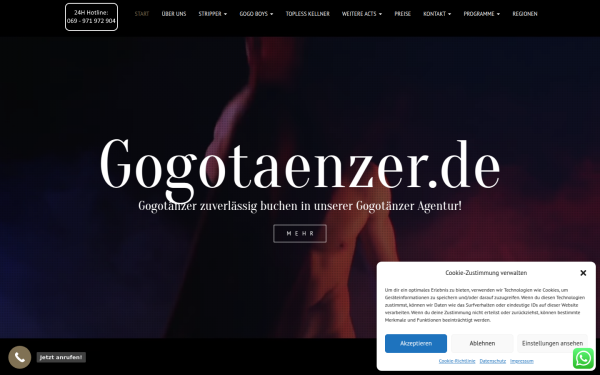 gogotaenzer.de
