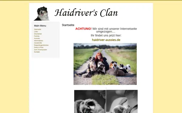 allroundpferde.de