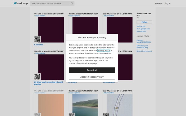 user48736353001.bandcamp.com