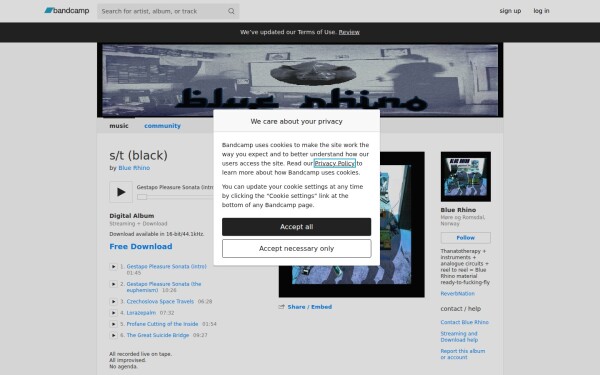 bluerhino.bandcamp.com