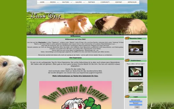 lillus-welt.de