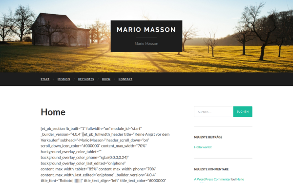 mariomasson.de