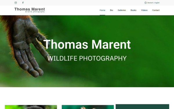 thomasmarent.com