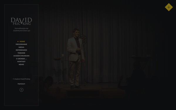www.zauberer-zauberkuenstler-zaubern.de
