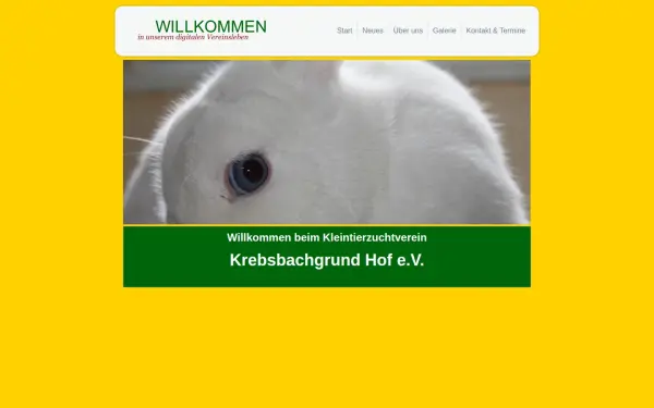 b988.de