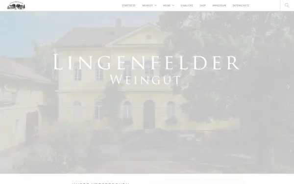 lingenfelder.de