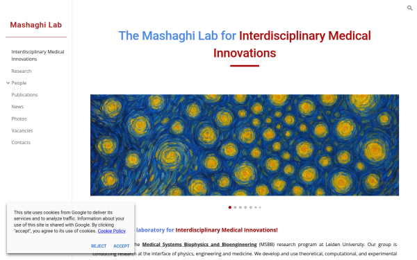 www.mashaghilab.org