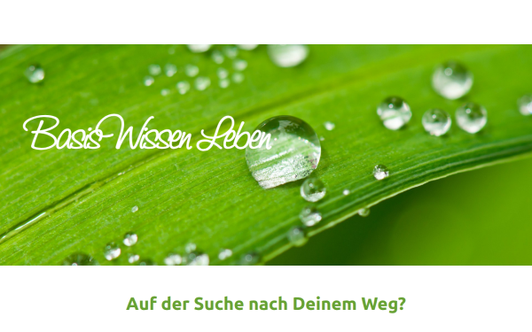 www.gesundheitsberatung-coaching.de