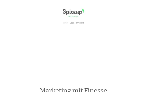 www.spiceup-marketing.com