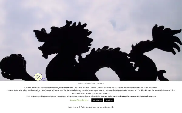hantrainerpro.de