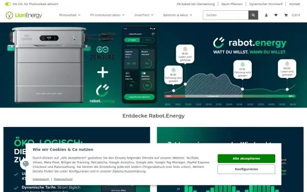 lion-energy.de