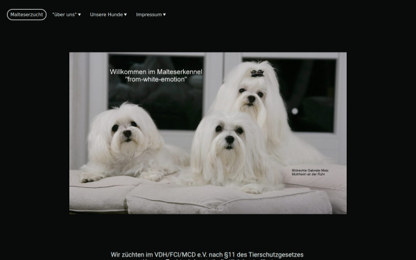 www.malteser-from-white-emotion.de