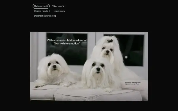 www.malteser-from-white-emotion.de