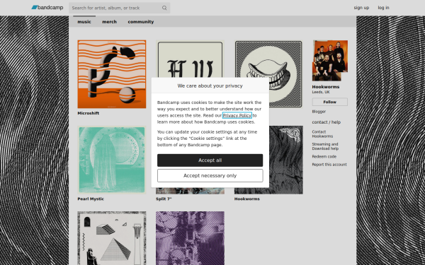 hookworms.bandcamp.com