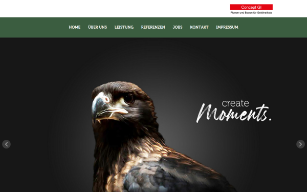www.concept-gi.de