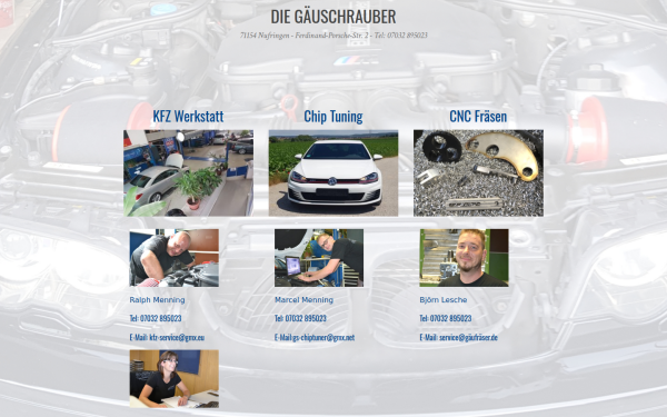 gaeuschrauber.de