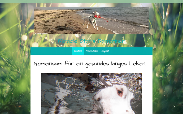 www.miracle-stars.de