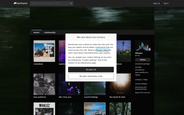 whalez.bandcamp.com